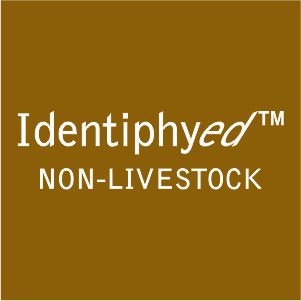 Identiphy Pet Animal ID Database in Nigeria