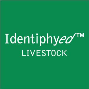 Identiphy Livestock Animal ID Database in Nigeria